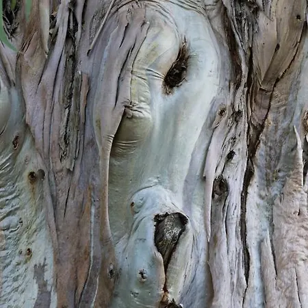 Santo Stefano Portoferraio