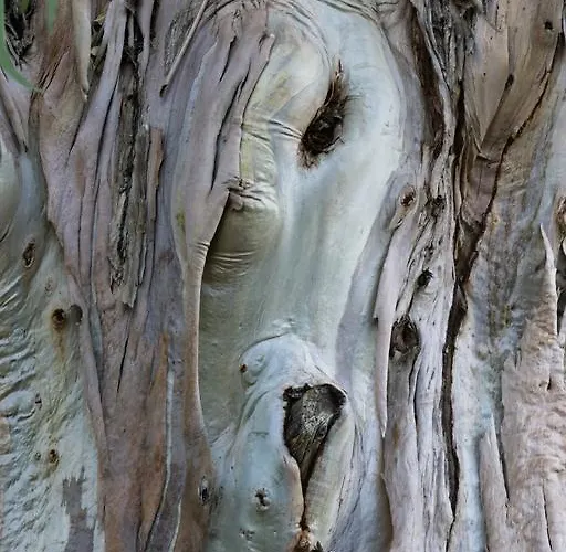 Santo Stefano Portoferraio